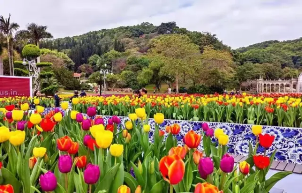 2024 Yuntai Garden Tulip Exhibition