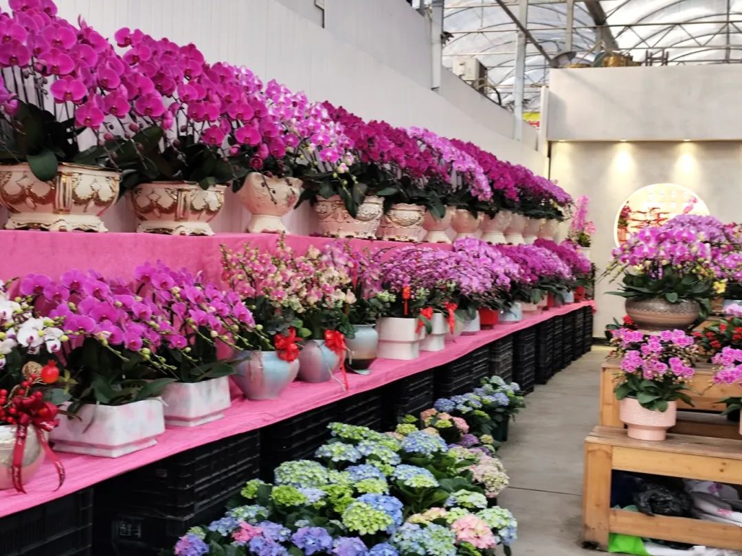 逛花市赏非遗 沉浸式感受广州年味