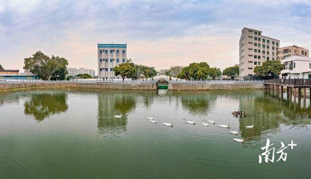 来源:白云区摄影家协会