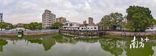 来源:白云区摄影家协会 来源:白云区摄影家协会