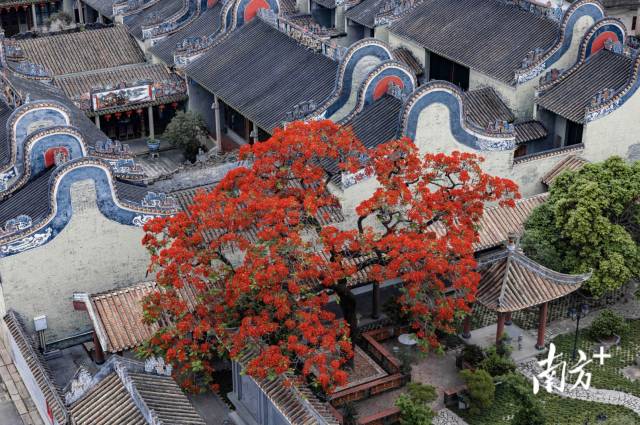 白云龙归街南村村：文化“莲”心，以“荷”动人