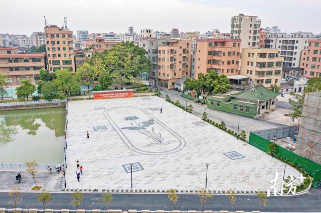 来源:白云区摄影家协会