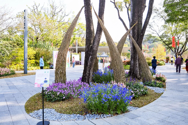 大阳城集团娱乐视频