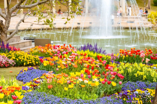 大阳城集团娱乐视频