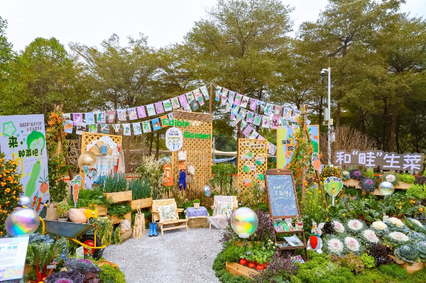 大阳城集团娱乐视频