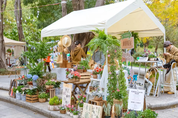 大阳城集团娱乐视频