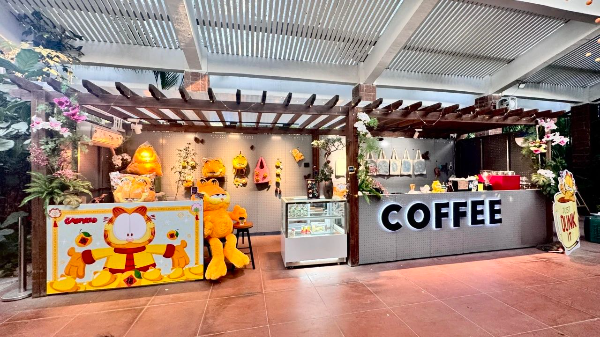 大阳城集团娱乐视频