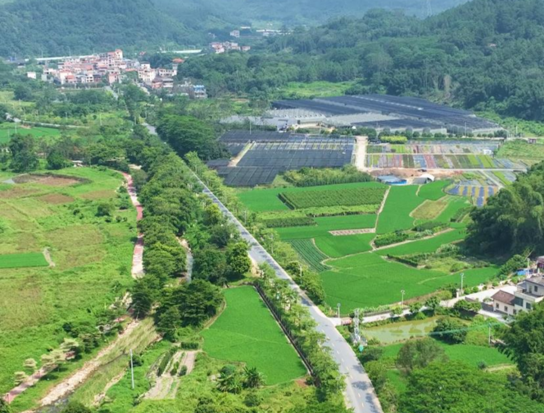 广州将打造2500公里乡村风景道 重塑乡村价值