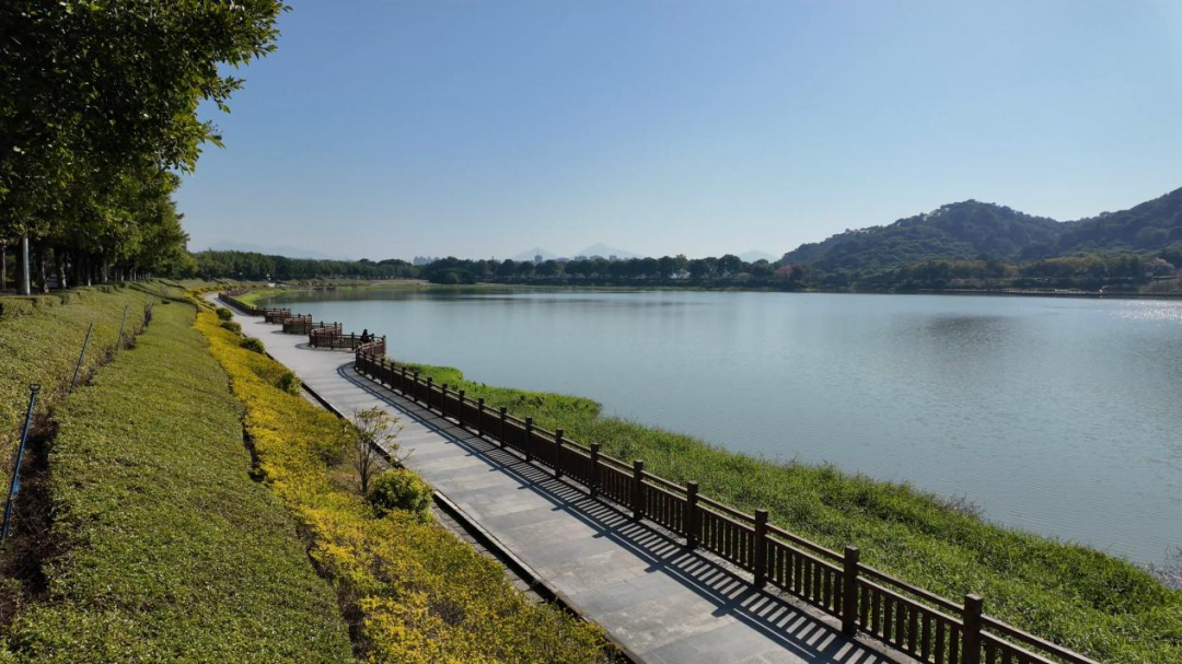流水清澈，生态共融！从化区龙潭河入选市级美丽河湖优秀案例
