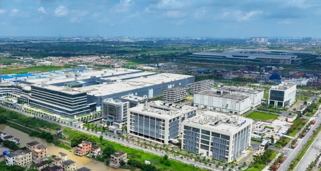 孙志洋到南沙区开展专题调研