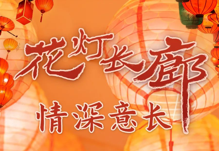 学习进行时丨花灯长廊 情深意长