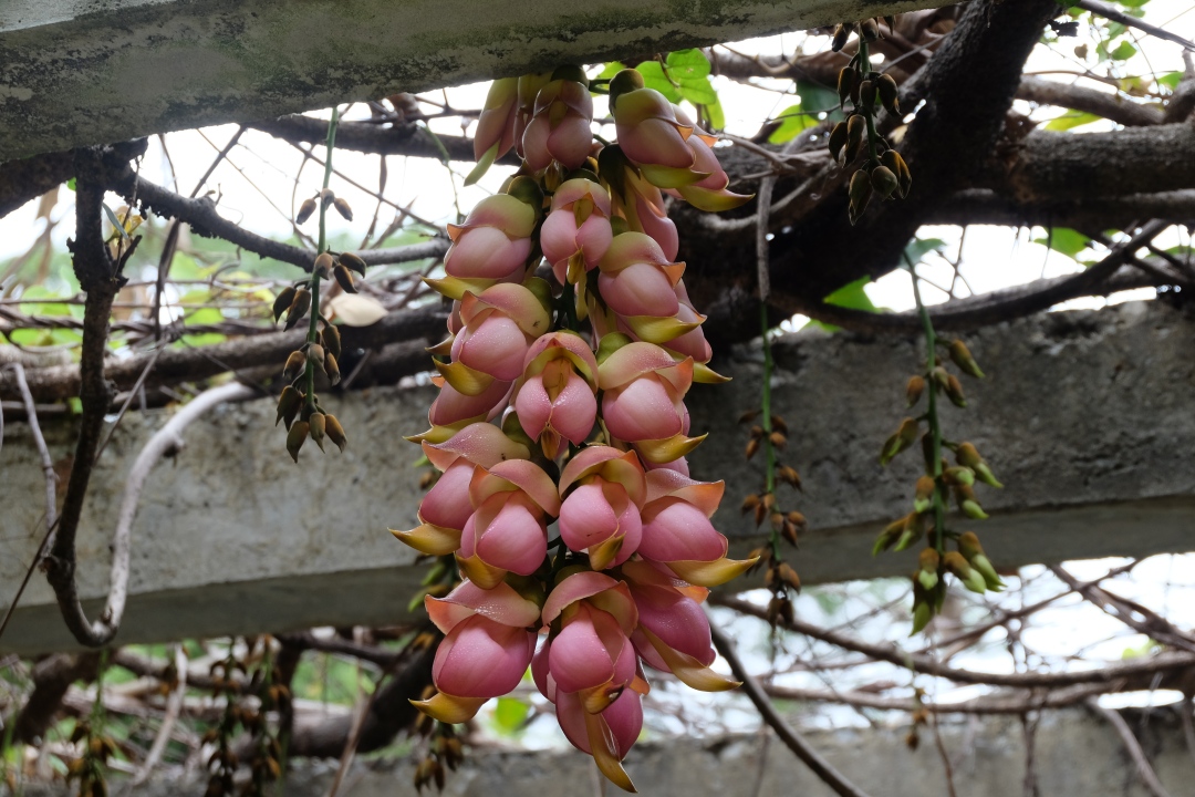 att_9144062.JPG att_9144062.jpg