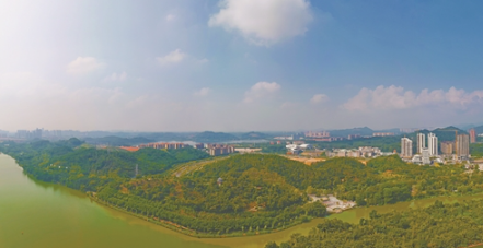 广州：森林优化提质 生态“底色”更亮