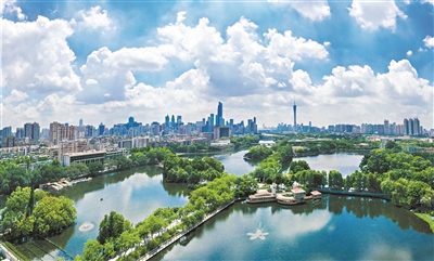 “林长制”促“林长治” 花城绽放生态花