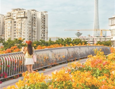 绿美花城让人奔赴更愿扎根