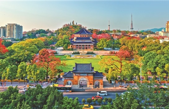 花开羊城 春暖万家