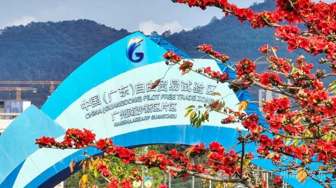 广东省广州南沙建设发展工作委员会全体会议和主任会议召开