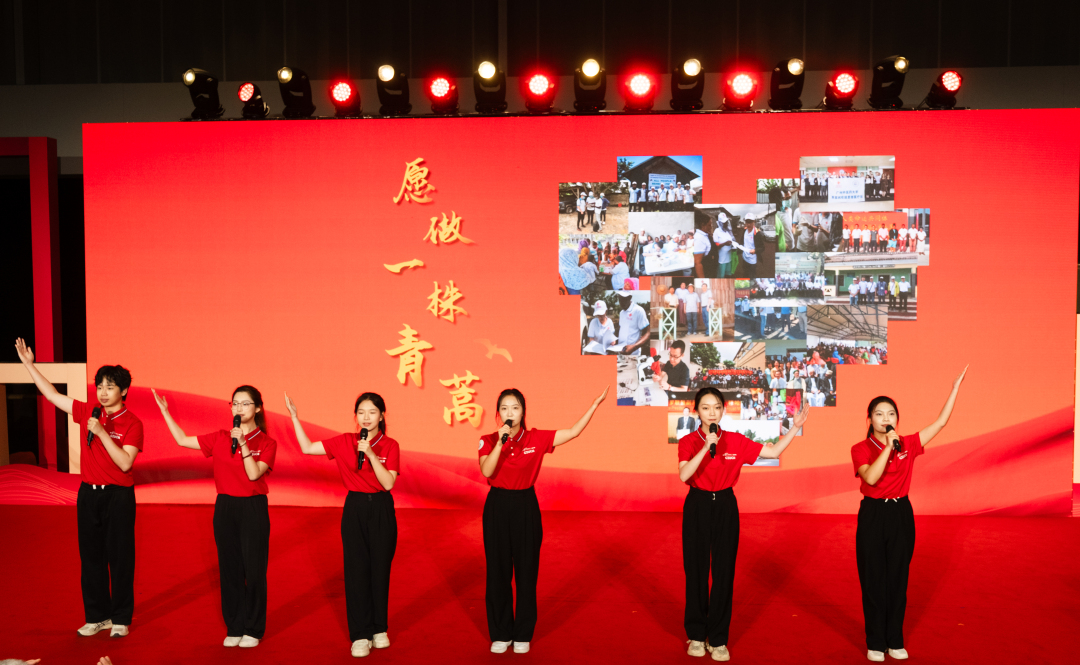 英雄木棉映初心 杏林薪火传使命