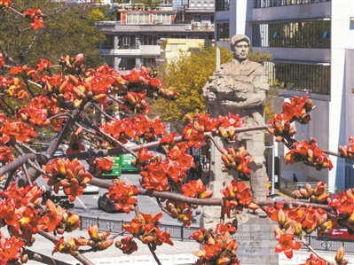 一月逾万场活动“红”动全城