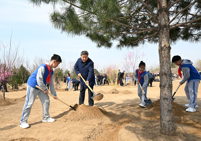 大阳城集团娱乐视频