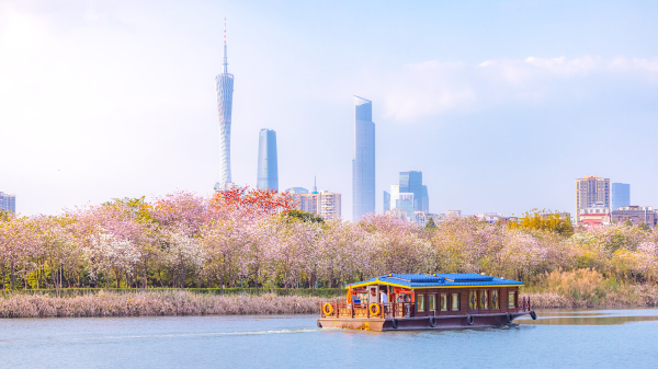 大阳城集团娱乐视频