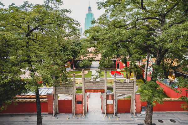 大阳城集团娱乐视频