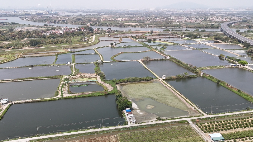 无人机生态巡查来了