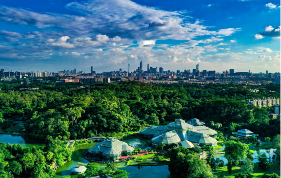 广州市发布2025年第1号总林长令