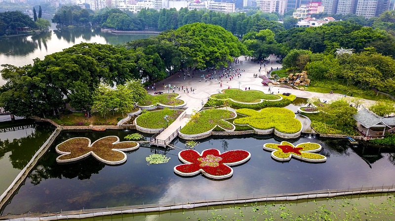 流花湖公园将有新动作 建广东首个国际盆景交流中心