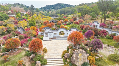 广州农业正在田间地头书写着数字化、智能化新篇