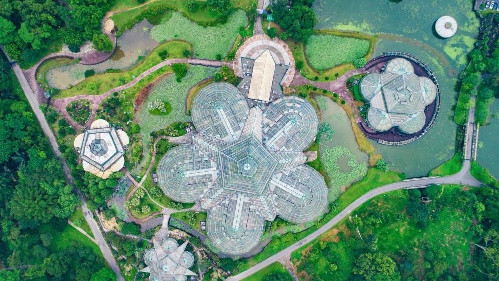 中国科学院华南植物园碳汇研究取得重大成果