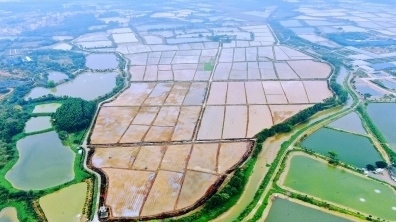 广州市耕地保护规划征询意见