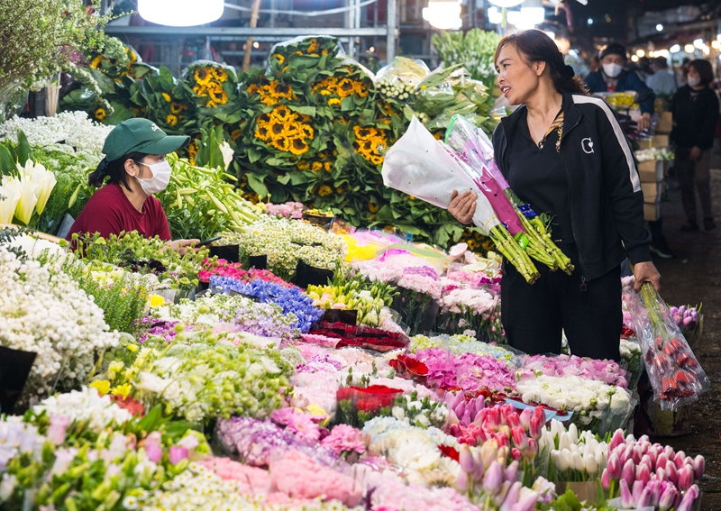 大阳城集团娱乐视频