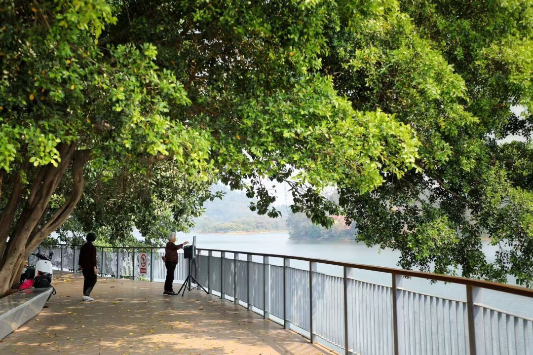 散步、慢跑、骑行、观景！快来打卡广州和龙水库碧道
