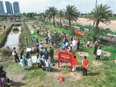今年以来广州开展植树活动超1600场 浇灌出城市满目葱茏