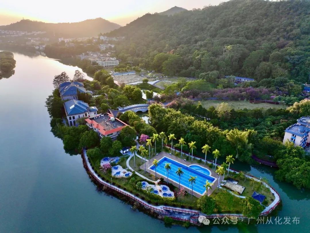 荔枝正红时 从化“三月红”抢鲜开摘!_fororder_2