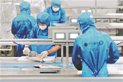 南沙区“蓝色渔港”项目投产