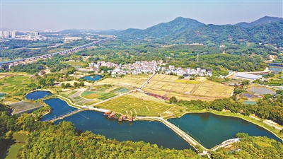 执文旅之笔 绘振兴蓝图