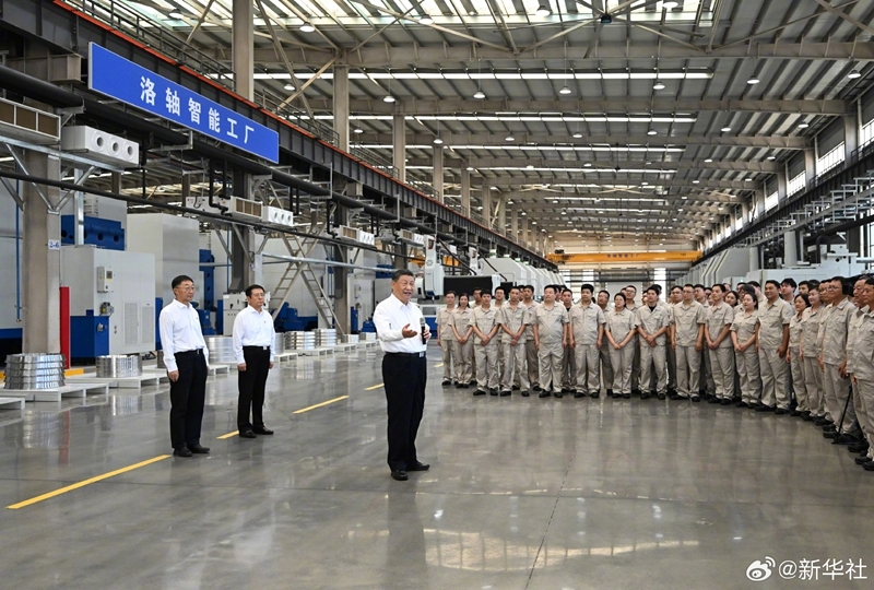 大阳城集团娱乐视频