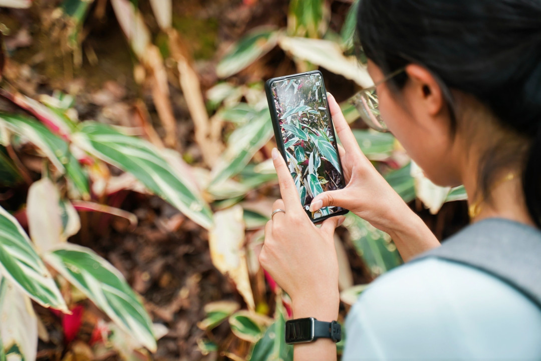 广州举办国际生物多样性日主题活动