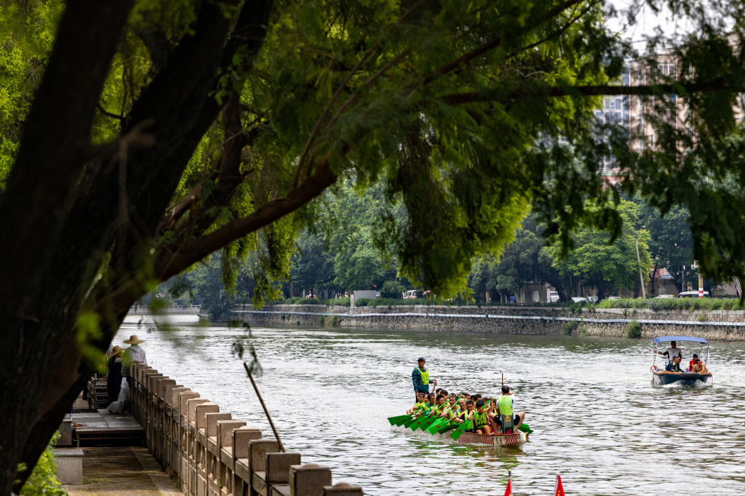 十年治水，河湖竞秀！龙舟竞渡重返广州石井河