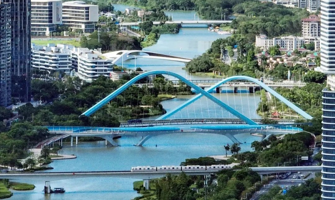 南沙一年人口净增长达11万 今年入户条件放宽