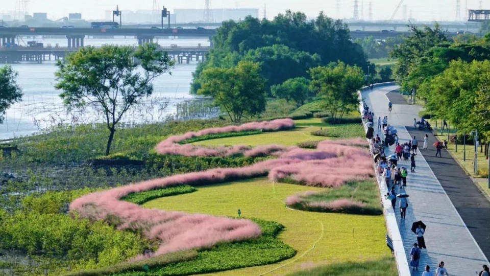 2025年海洋生态保护修复典型案例评选结果出炉 南沙湿地生态修复案例入选