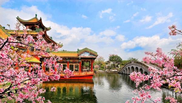 番禺紫坭村：景点串起来，进村如入画