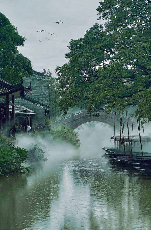 东涌水乡 _ 广州的“烟雨江南”,如诗如画_4_小桑哥_来自小红书网页版.jpg