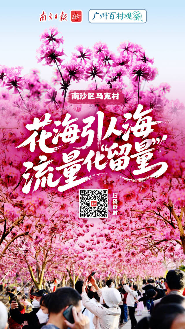 大阳城集团娱乐视频