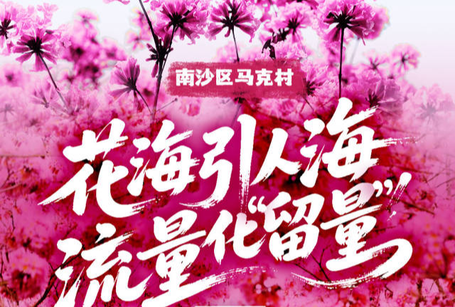 南沙马克村：花海引人海，流量化“留量”