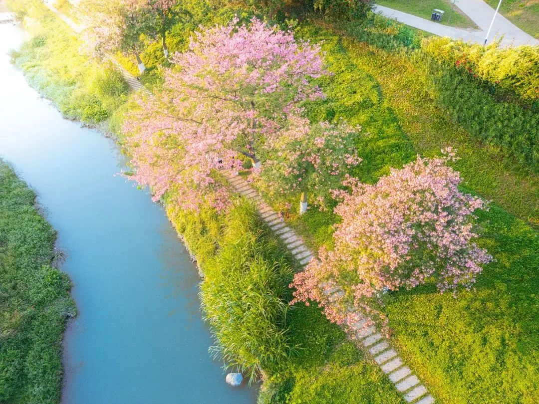 跟着央视镜头，看流淌在家门口的广州幸福河