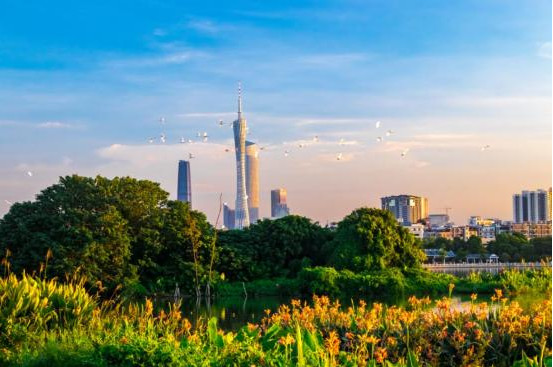 果园“变身”万亿级绿色增长极！塑造环海珠湿地价值圈高质量保护发展新格局