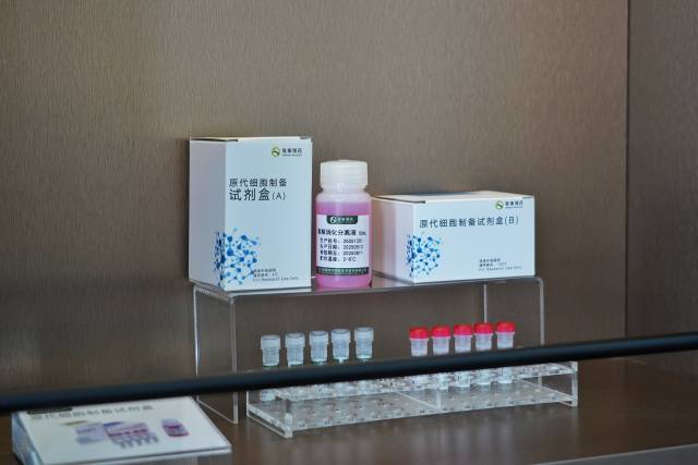 大阳城集团娱乐视频